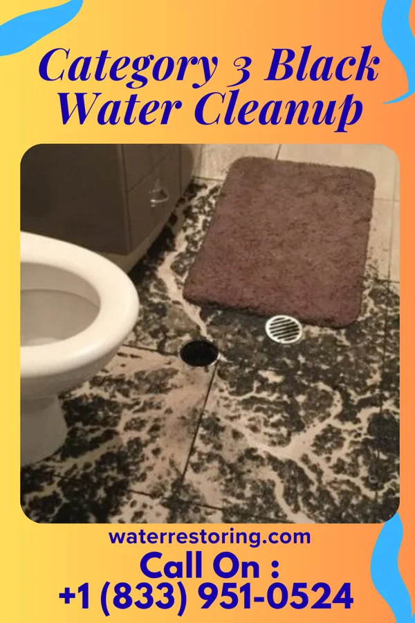 Category 3 Black Water Cleanup in Ossian, IA