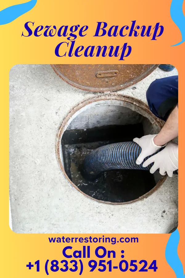 Sewage Backup Cleanup in Ossian, IA
