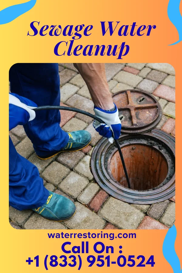Sewage Water Cleanup in Ossian, IA